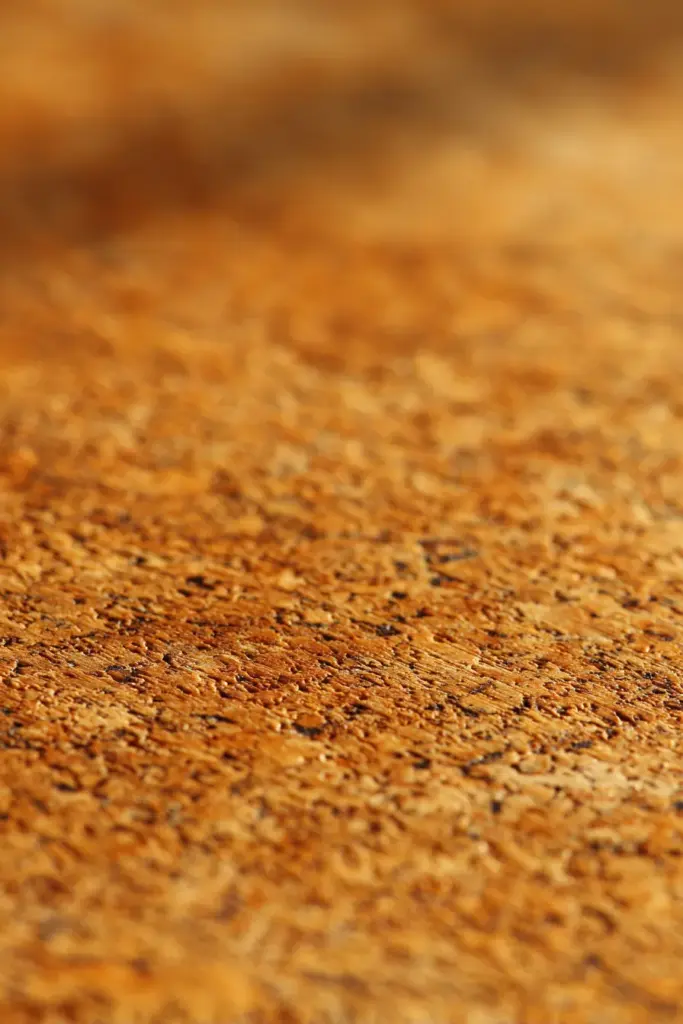 Cork Floor Close-Up Texture