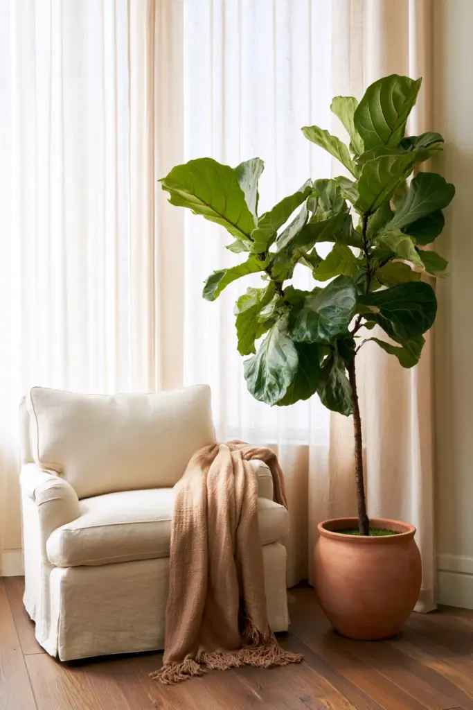 Floor-Level Statement Plant Corner